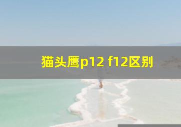 猫头鹰p12 f12区别